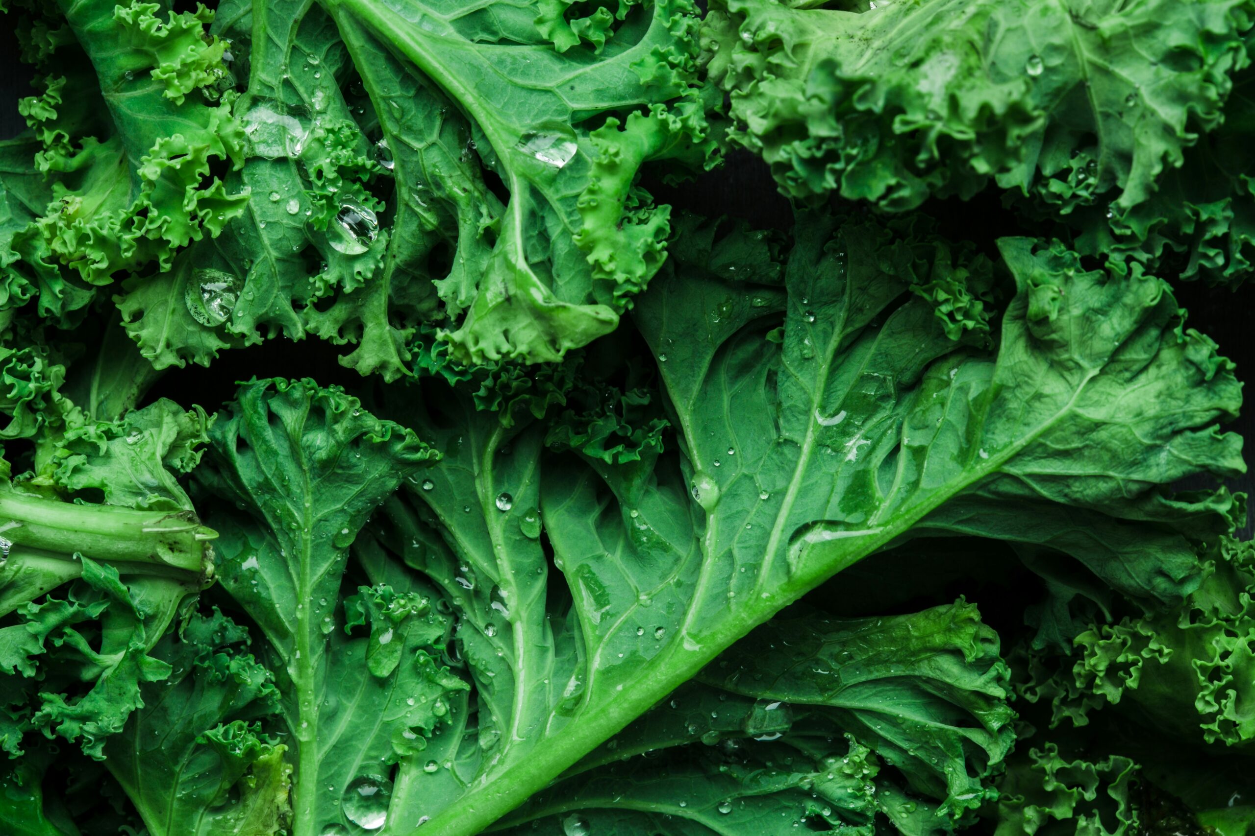 Exploring the Nutritional Properties of Kale
